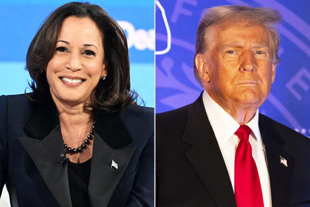 Les démocrates sont optimistes quant aux chances de Kamala Harris, soulignant qu'elle a déjà démontré sa capacité à mobiliser les électeurs et à lever des fonds. Cependant, les républicains restent confiants, arguant que Donald Trump a une base solide d'électeurs fidèles et qu'il saura exploiter les faiblesses de Kamala Harris.